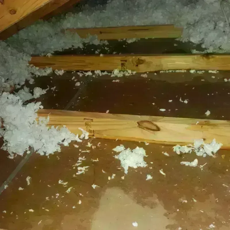 Attic Water Damage in Amherst County, VA